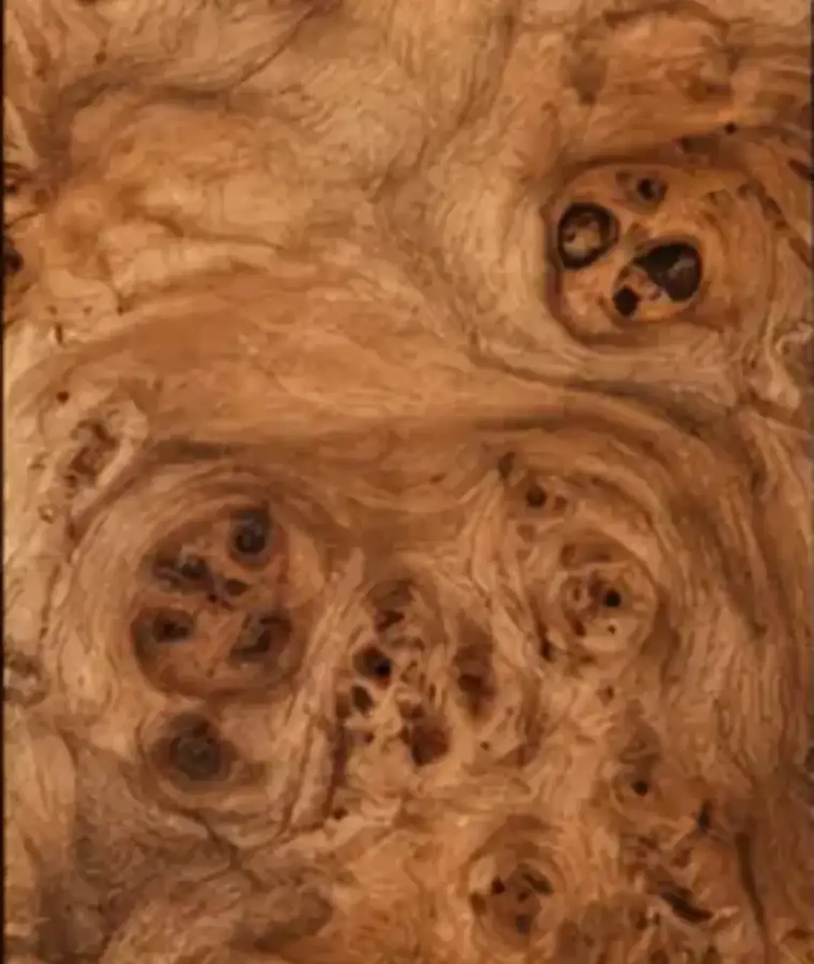 Burl de madeira com nós e pequenos olhos